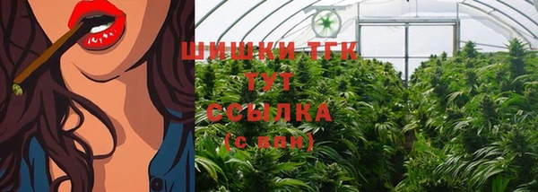 бошки Иннополис